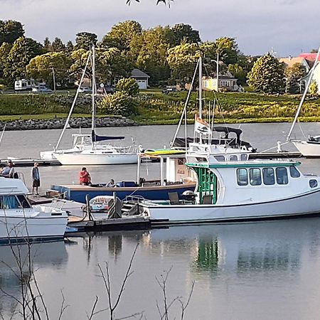 Waterside Apts. Leilighet Cardigan Eksteriør bilde