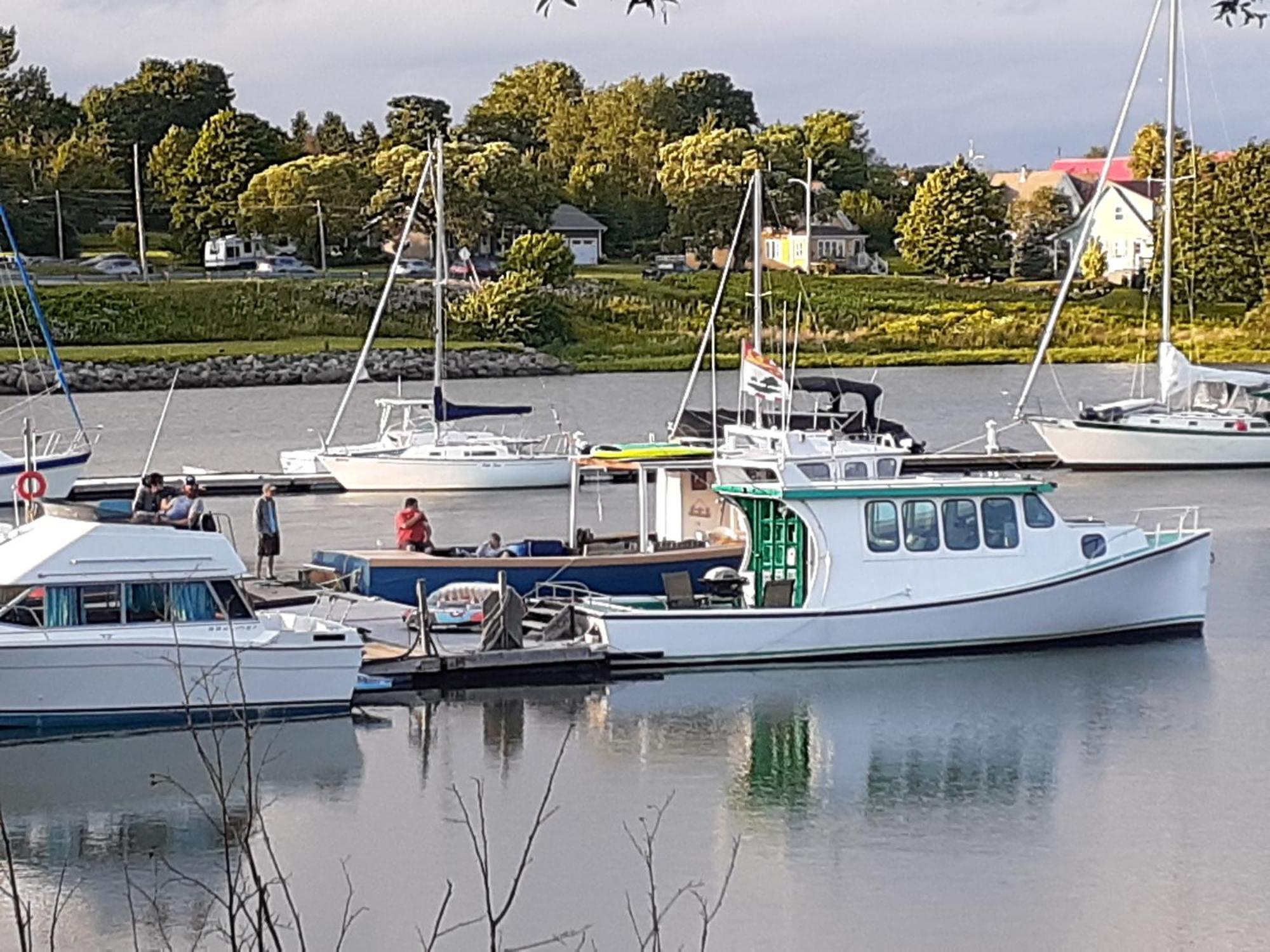 Waterside Apts. Leilighet Cardigan Eksteriør bilde